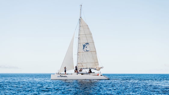 Out on the sea on La Santa Maria