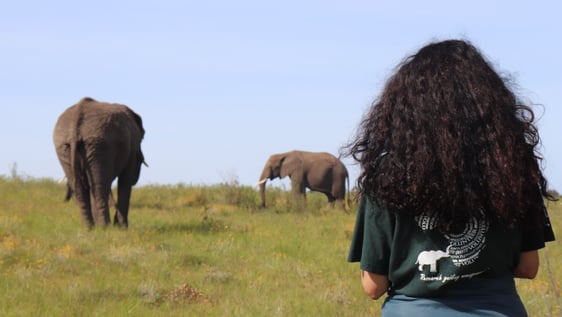 Our volunteer during daily observation shift in the field! 