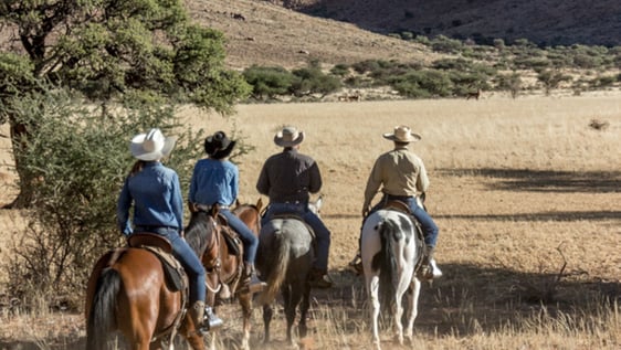 In search of the Wild Horse Herds ...