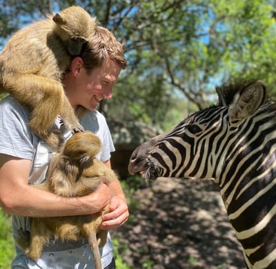 Primate Rescue and Rehabilitation | Volunteer in Zimbabwe 2026