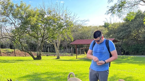 Guayabo Animal Rescue & Sanctuary cares for over 100 animals each day, many are dogs who've faced abuse and neglect. Our many programs not only save lives, they change a mindset! 